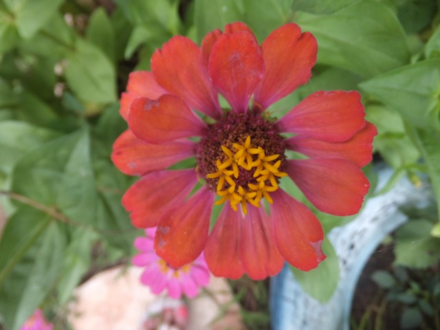 Name:  DSCF0326.jpg
Views: 295
Size:  61.0 KB