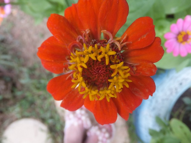 Name:  DSCF0327.jpg
Views: 311
Size:  66.8 KB