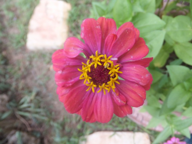 Name:  DSCF0328.jpg
Views: 319
Size:  65.5 KB
