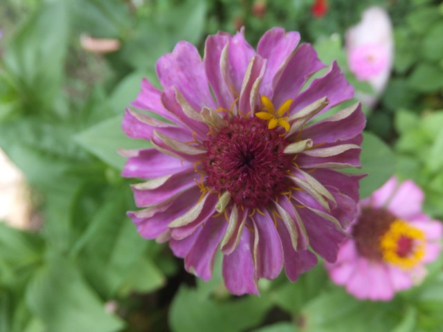 Name:  DSCF0329.jpg
Views: 296
Size:  63.6 KB