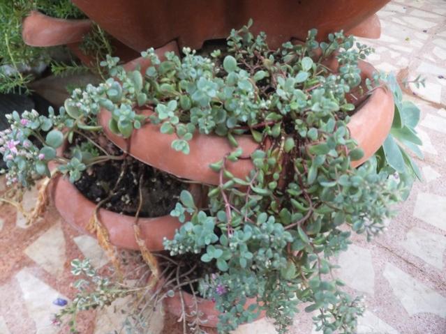 Name:  DSCF0422.jpg
Views: 299
Size:  57.1 KB