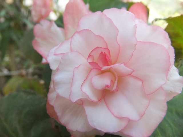 Name:  DSCF0535.jpg
Views: 273
Size:  54.0 KB