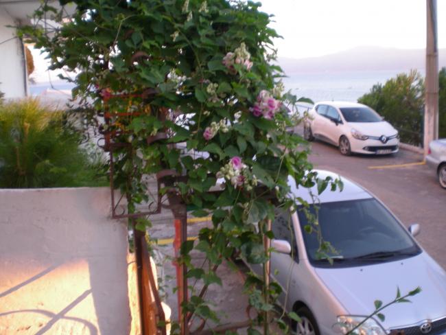Name:  2013-09-15 06.54.25.jpg
Views: 728
Size:  48.9 KB