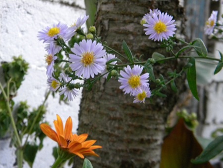 Name:  DSCN8223.JPG
Views: 573
Size:  64.2 KB