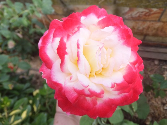 Name:  DSCF0577.jpg
Views: 236
Size:  66.7 KB