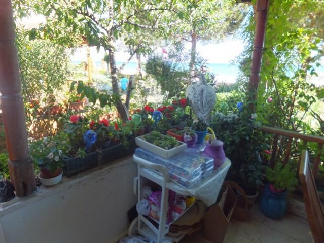 Name:  DSCF0601.jpg
Views: 225
Size:  61.2 KB
