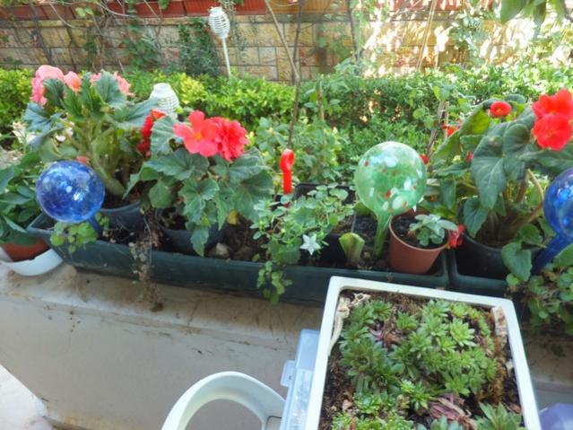 Name:  DSCF0606.jpg
Views: 226
Size:  62.4 KB