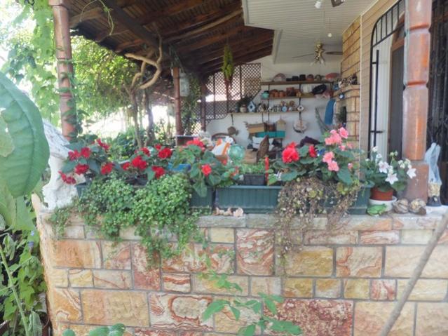 Name:  DSCF0608.jpg
Views: 267
Size:  61.7 KB