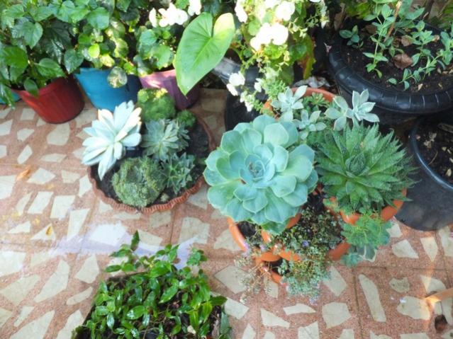 Name:  DSCF0613.jpg
Views: 235
Size:  65.1 KB