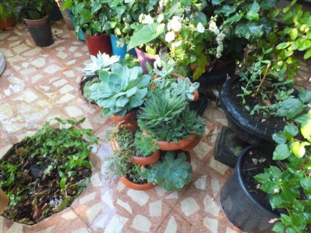 Name:  DSCF0614.jpg
Views: 240
Size:  64.7 KB