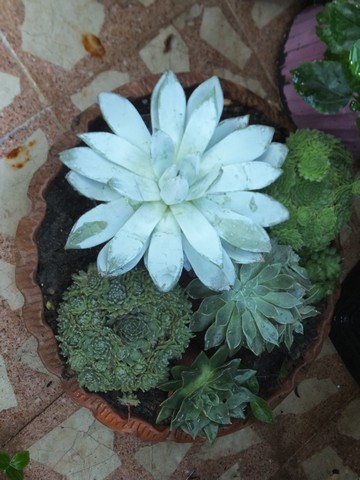 Name:  DSCF0616.jpg
Views: 202
Size:  62.2 KB