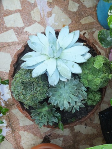 Name:  DSCF0617.jpg
Views: 212
Size:  69.6 KB