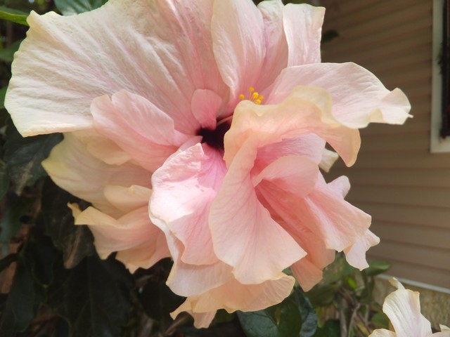 Name:  DSCF0631.jpg
Views: 192
Size:  66.9 KB