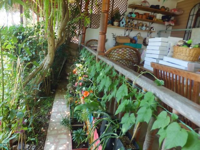Name:  DSCF0690.jpg
Views: 369
Size:  68.7 KB
