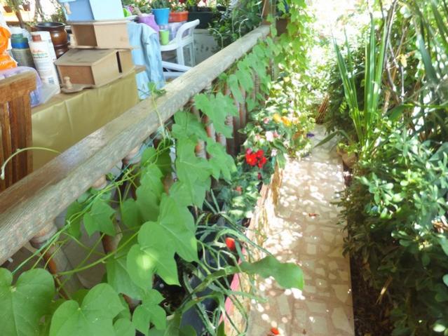 Name:  DSCF0692.jpg
Views: 383
Size:  63.3 KB
