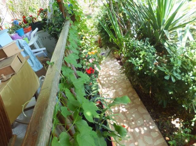 Name:  DSCF0694.jpg
Views: 366
Size:  66.4 KB