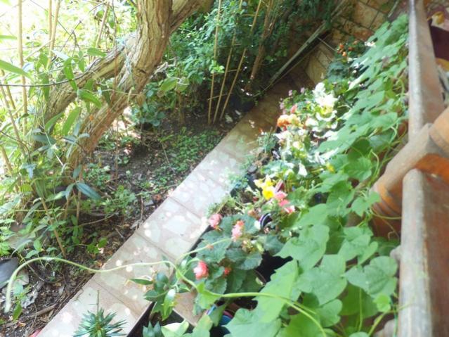 Name:  DSCF0696.jpg
Views: 368
Size:  68.1 KB