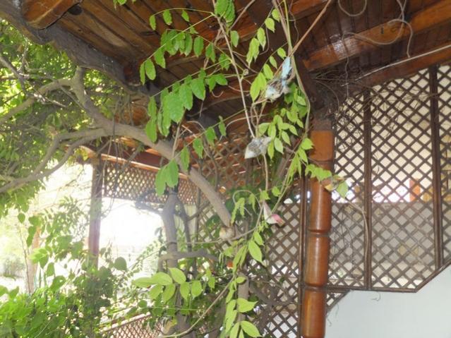 Name:  DSCF0700.jpg
Views: 425
Size:  67.9 KB