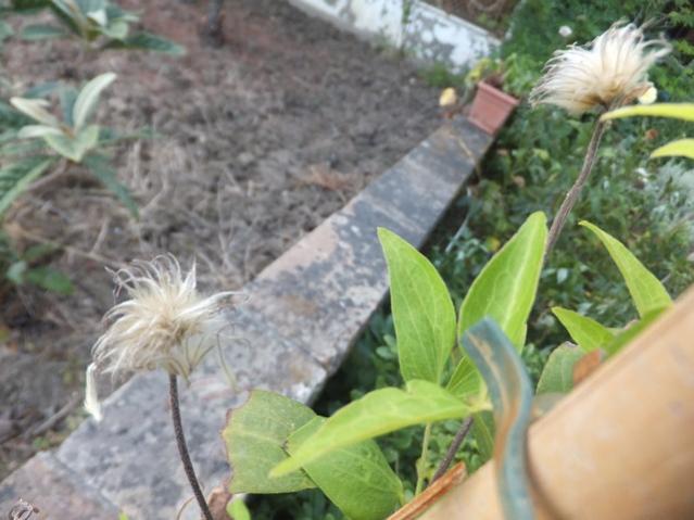Name:  DSCF0757.jpg
Views: 348
Size:  43.8 KB