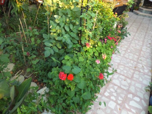 Name:  DSCF0771.jpg
Views: 344
Size:  60.7 KB
