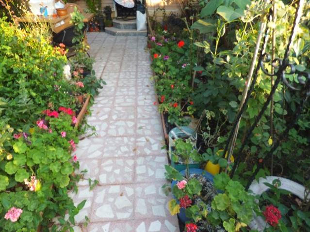 Name:  DSCF0772.jpg
Views: 337
Size:  66.3 KB