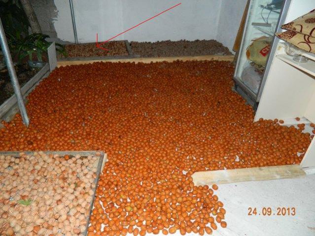 Name:  Resim 106.jpg
Views: 1049
Size:  63.3 KB