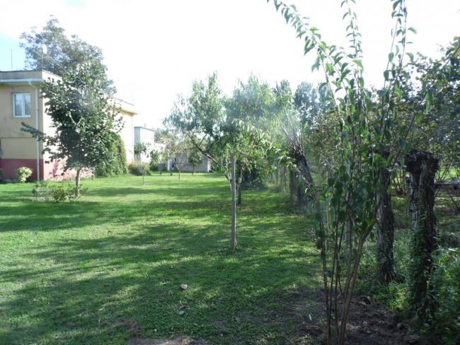 Name:  21-032.jpg
Views: 637
Size:  67.4 KB