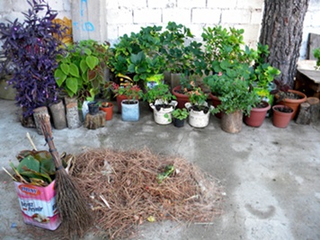 Name:  DSCN8334.JPG
Views: 711
Size:  62.2 KB