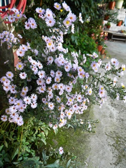 Name:  DSCN8355.JPG
Views: 805
Size:  64.8 KB