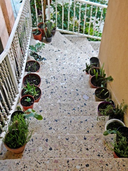 Name:  DSCN8365.JPG
Views: 831
Size:  66.5 KB