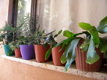 Name:  DSCN8364.JPG
Views: 814
Size:  70.0 KB