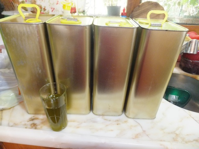 Name:  DSCF0836.jpg
Views: 244
Size:  68.4 KB