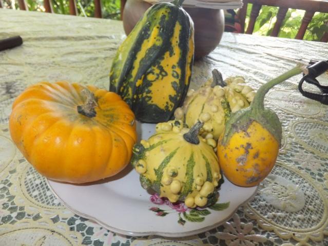 Name:  DSCF0838.jpg
Views: 232
Size:  53.1 KB