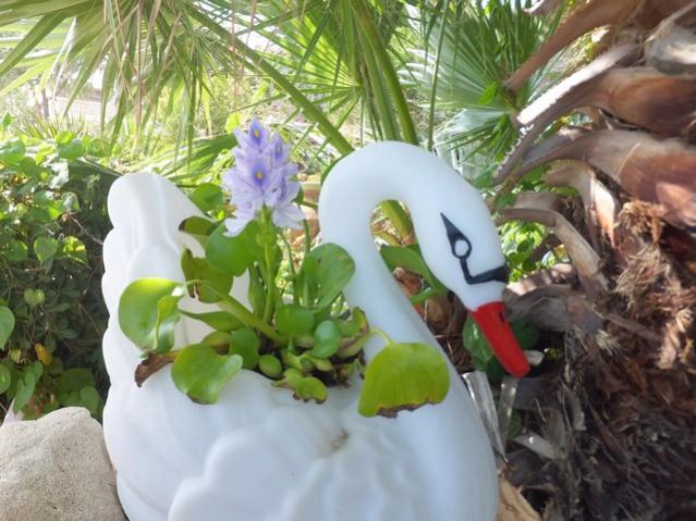 Name:  DSCF0928.jpg
Views: 463
Size:  55.8 KB