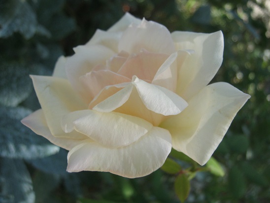 Name:  gl.jpg
Views: 1547
Size:  63.5 KB