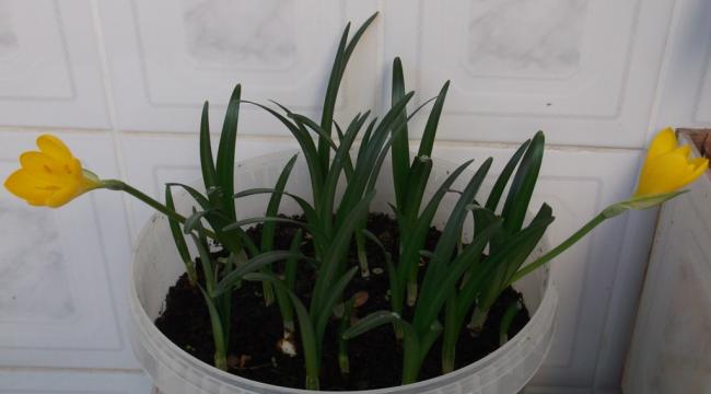 Name:  DSCF3905.jpg
Views: 582
Size:  24.4 KB