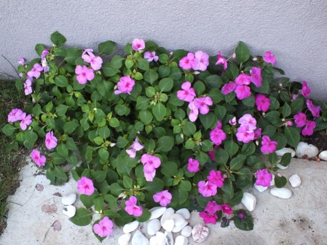 Name:  DSCF2908.jpg
Views: 597
Size:  61.4 KB