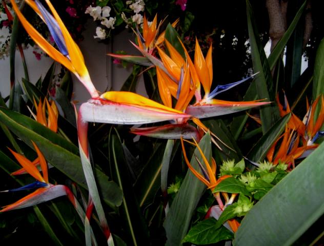 Name:  IMG_1566.JPG
Views: 776
Size:  58.6 KB