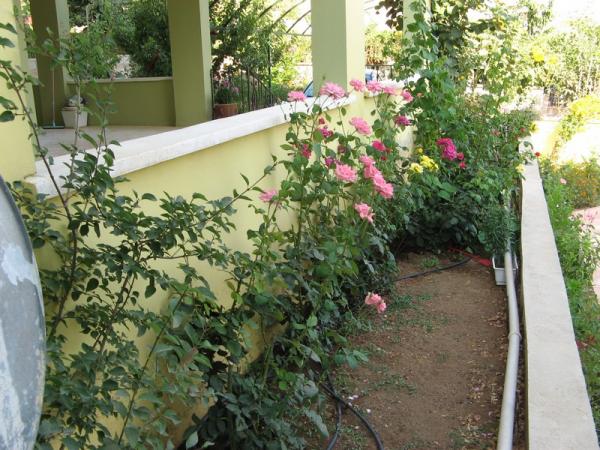 Name:  GLLER.jpg
Views: 14437
Size:  67.2 KB
