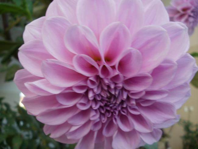 Name:  P1010386a.jpg
Views: 386
Size:  29.9 KB
