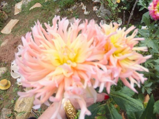 Name:  DSCF1924.jpg
Views: 359
Size:  50.1 KB
