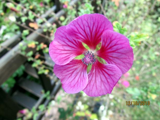 Name:  IMG_0748.jpg
Views: 459
Size:  46.1 KB