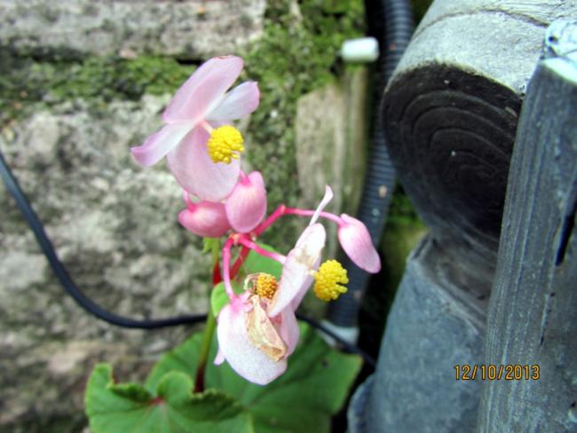 Name:  IMG_0785.jpg
Views: 437
Size:  44.3 KB