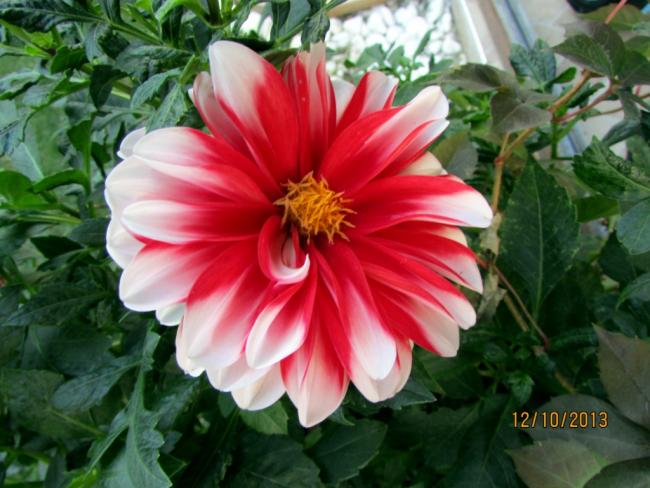 Name:  IMG_0772.jpg
Views: 450
Size:  51.0 KB