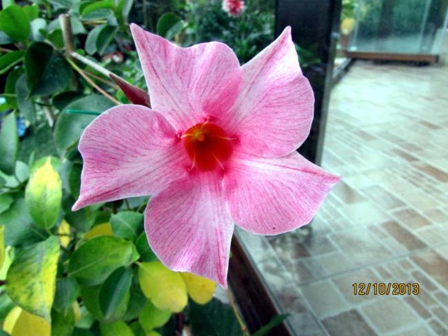 Name:  IMG_0880.jpg
Views: 746
Size:  48.7 KB