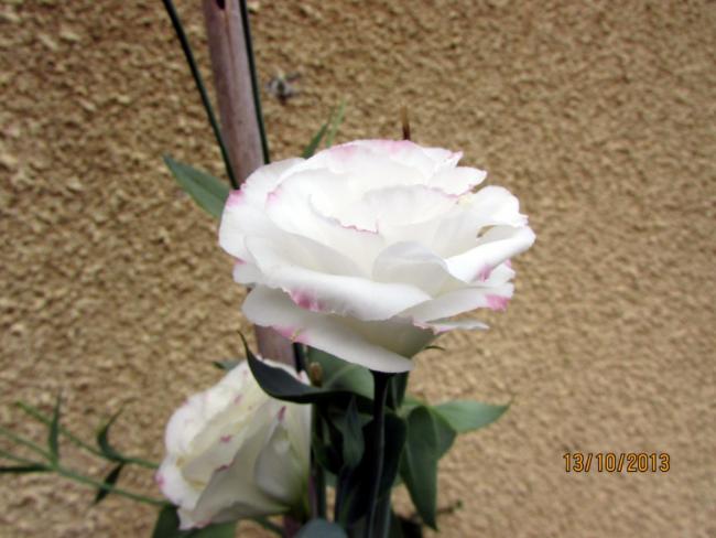 Name:  IMG_0920.jpg
Views: 744
Size:  40.6 KB