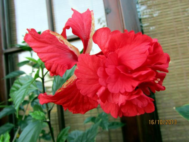 Name:  IMG_0967.jpg
Views: 979
Size:  40.9 KB