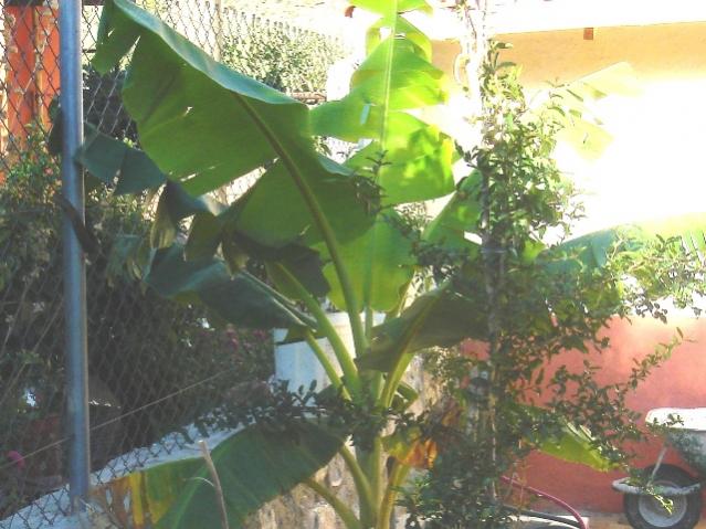 Name:  DSC04042.jpg
Views: 486
Size:  53.9 KB