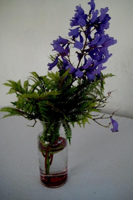 Name:  IMG_4555.jpg
Views: 653
Size:  34.2 KB