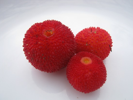 Name:  kocayemi3 tabakta.jpg
Views: 1076
Size:  59.3 KB